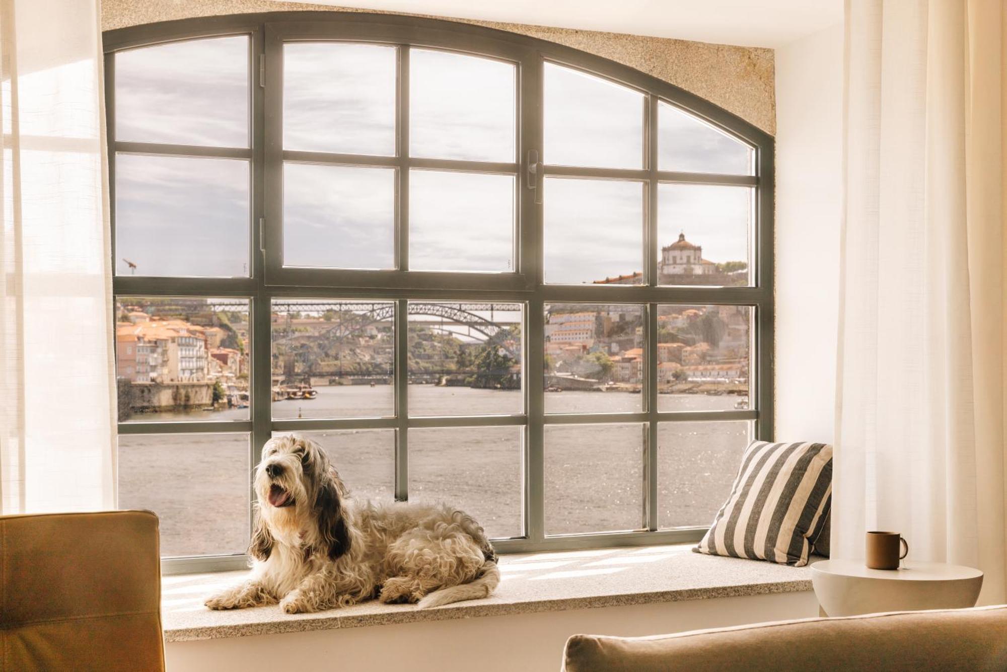 The Rebello Hotel & Spa - Small Luxury Hotels Of The World 加亚新城 外观 照片 A window with a dog